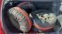 Škoda Fabia Combi 1.2 51 KW KLIMA TZ